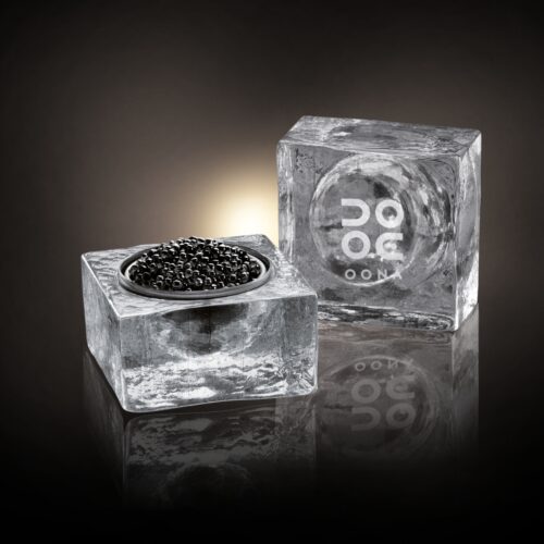 Oona Caviar x Ice Cube